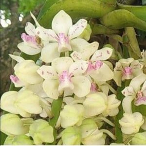 Meet your Posher, Ly